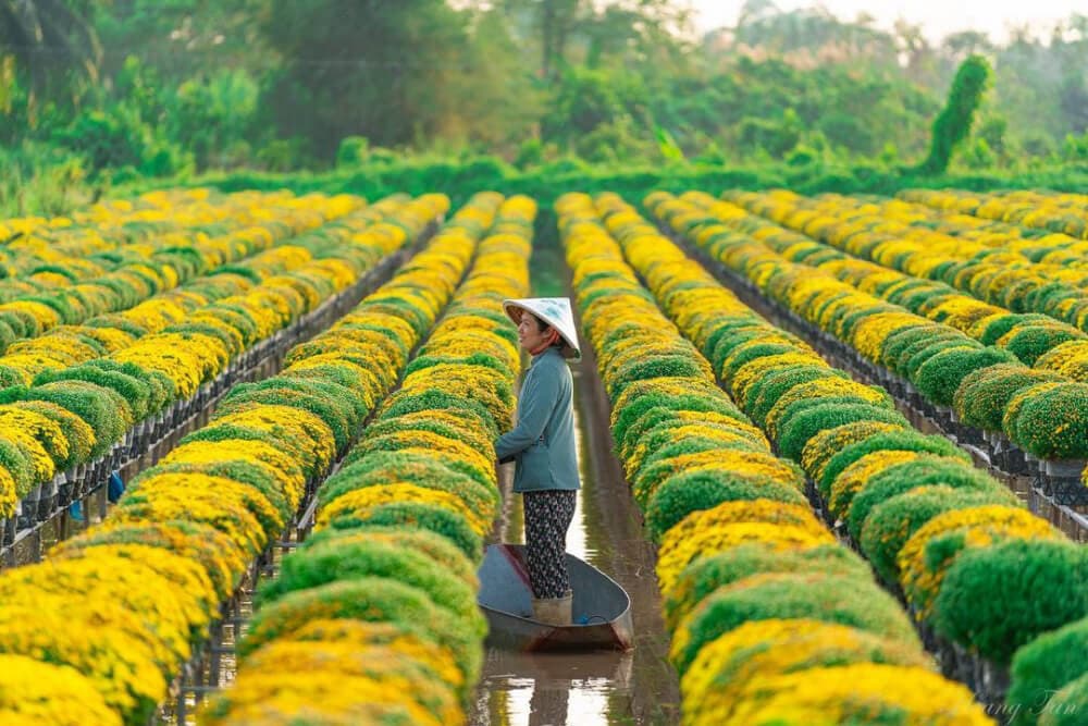 du lịch Miền Tây tháng 1