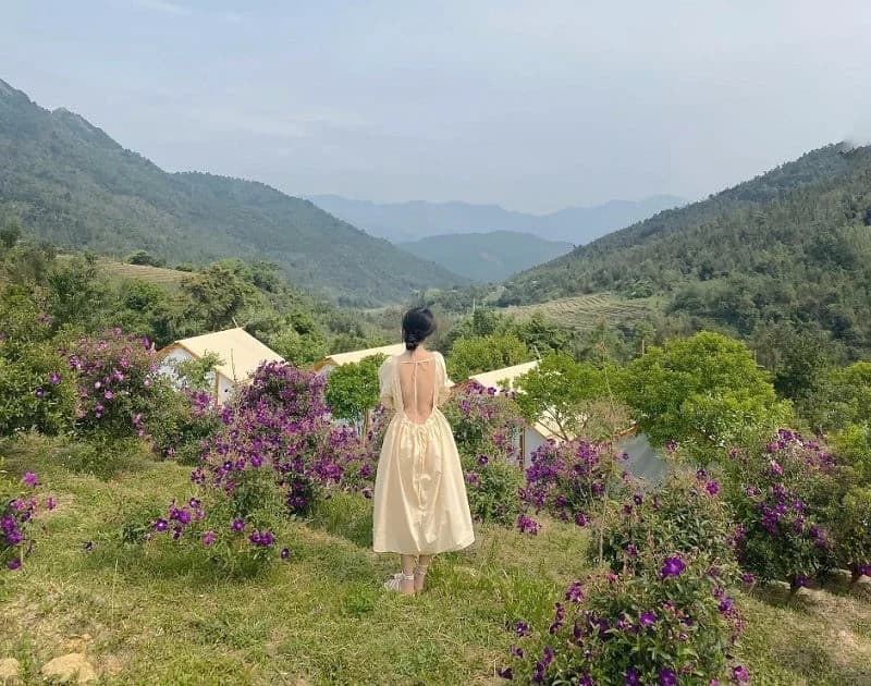 Du lịch Bình Liêu tháng 1