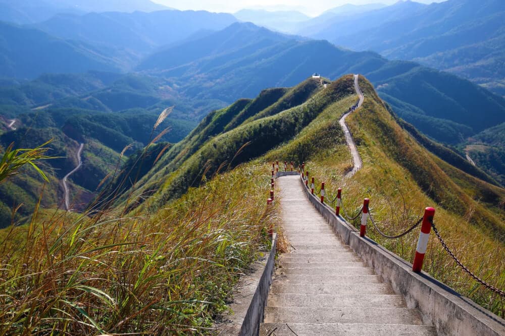 sống lưng khủng long bình liêu