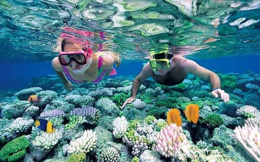 Lặn ngắm san hô ở Phú Quốc