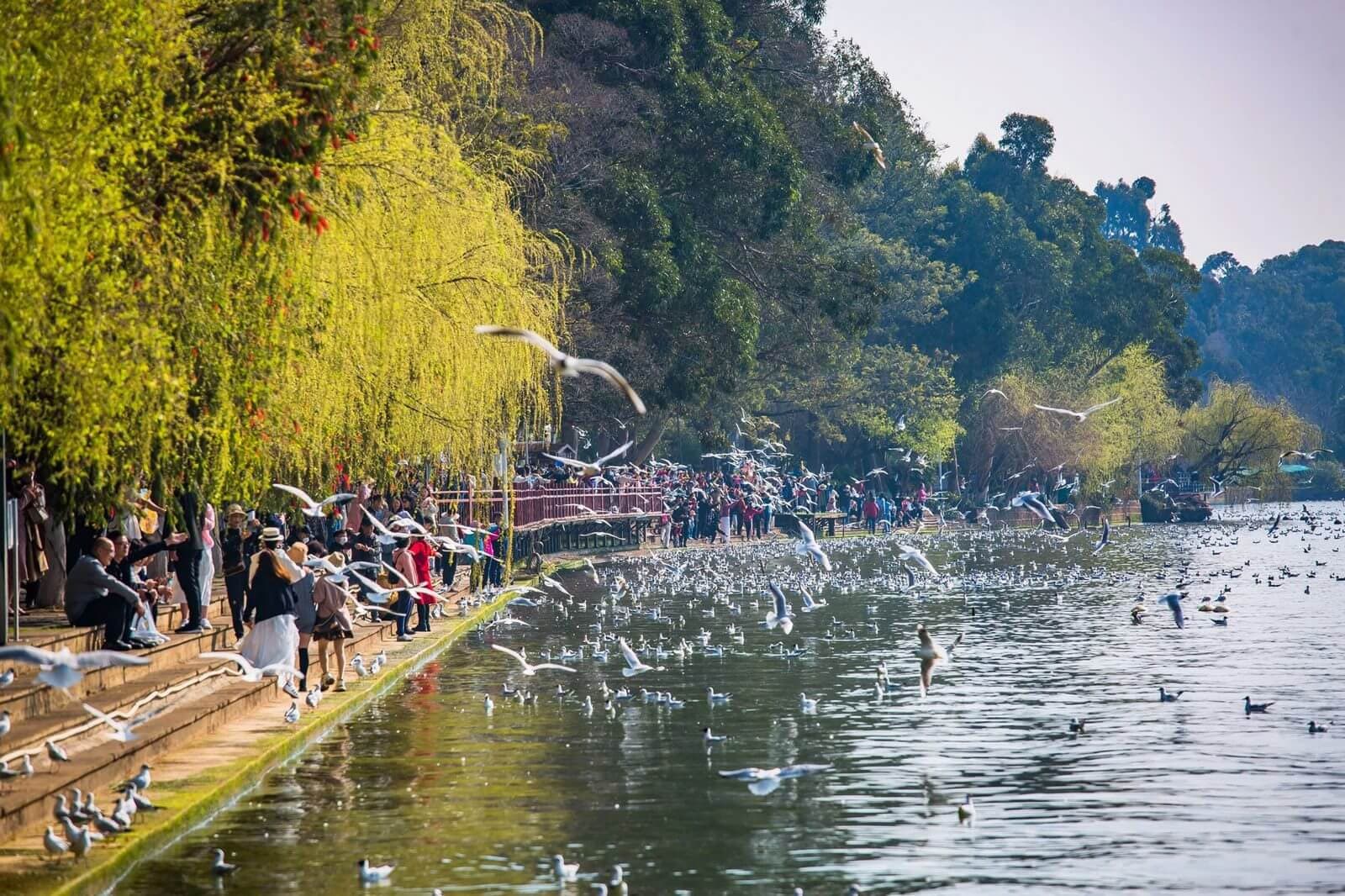 Hồ Điền Trì