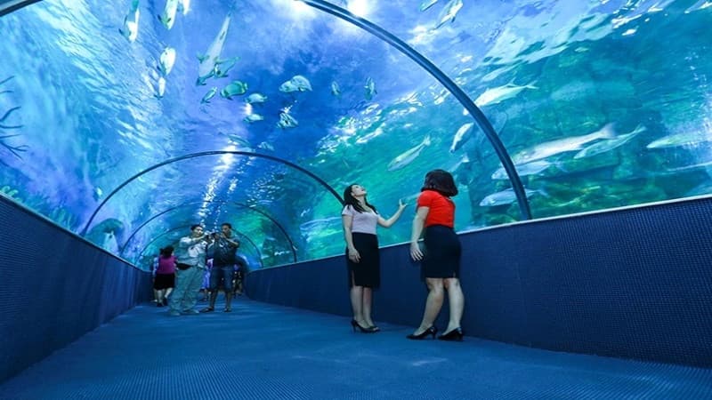 Viện Hải Dương Học Nha Trang