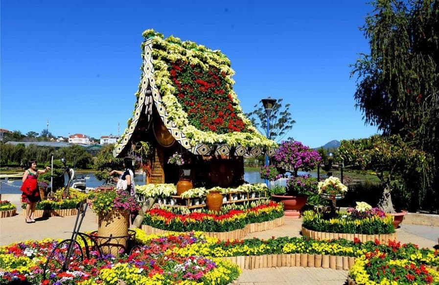 Hoa Đà Lạt