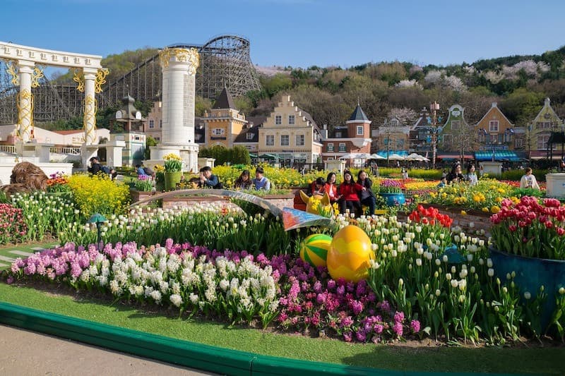 Mùa xuân ở Everland Seoul