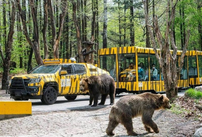 Zootopia Everland Hàn Quốc