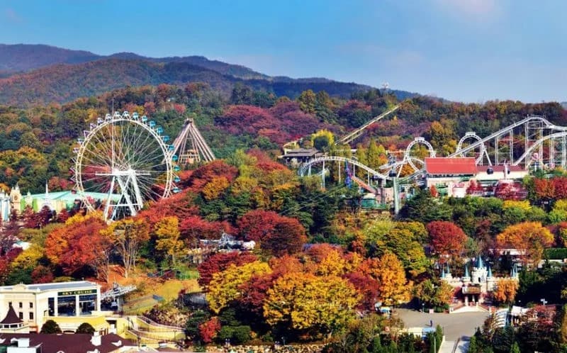Mùa thu Everland Seoul