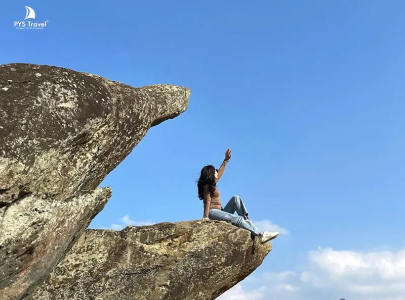 mỏmcá heo\