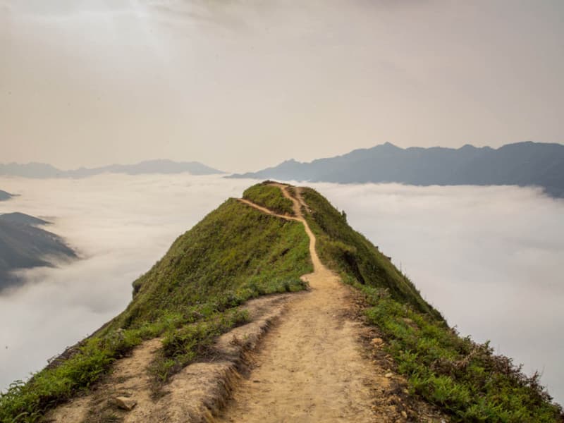 sống lưng khủng long
