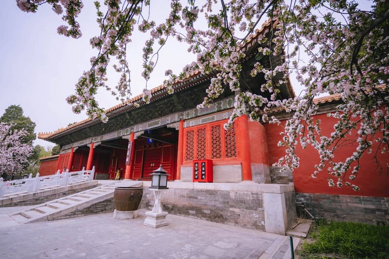 tử cấm thành bắc kinh tháng 3
