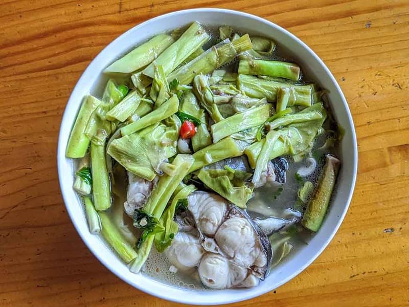 canh lục bình