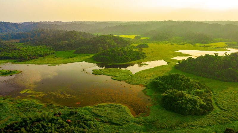 hồ bàu sấu