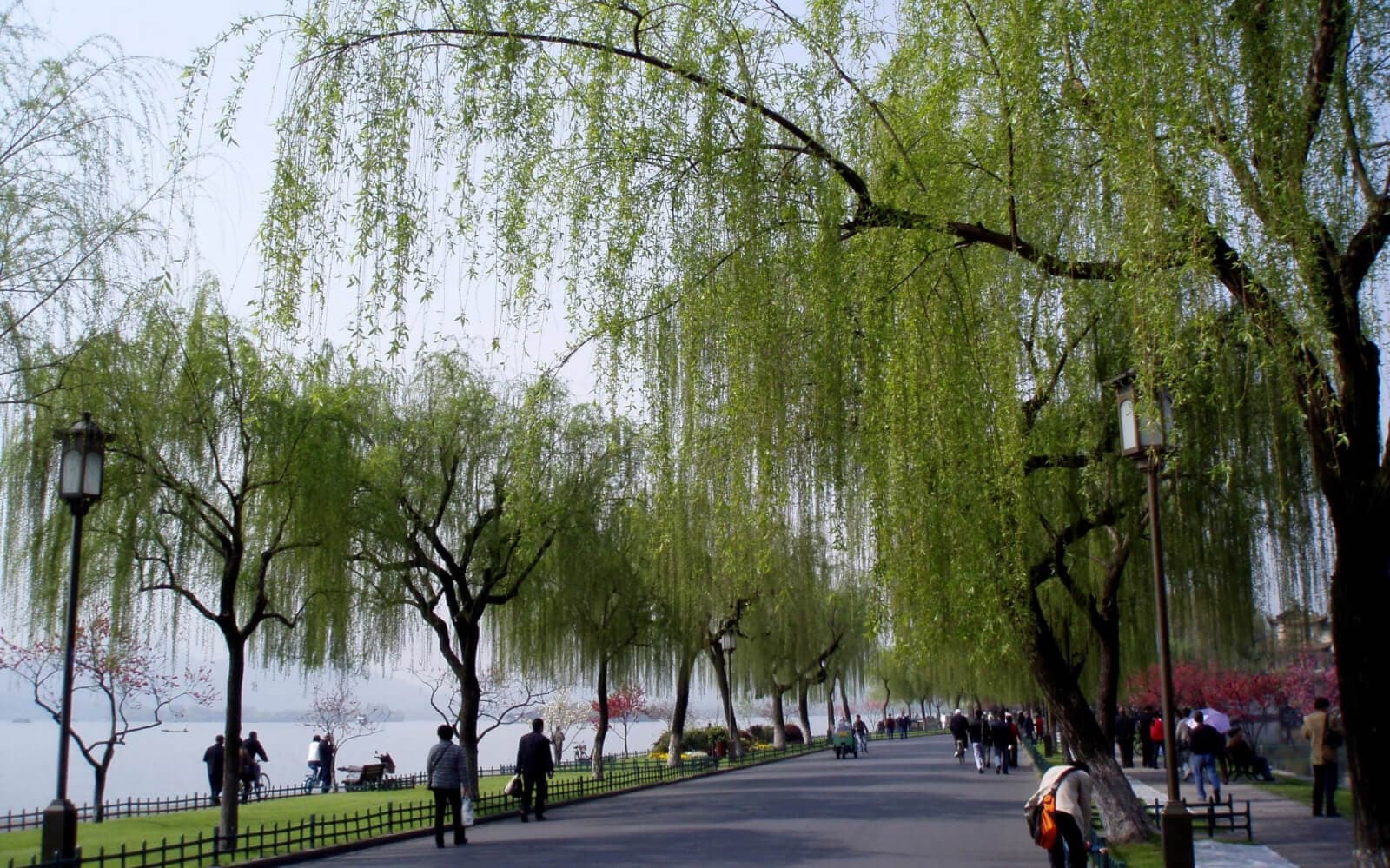 hàng châu tết dương lịch