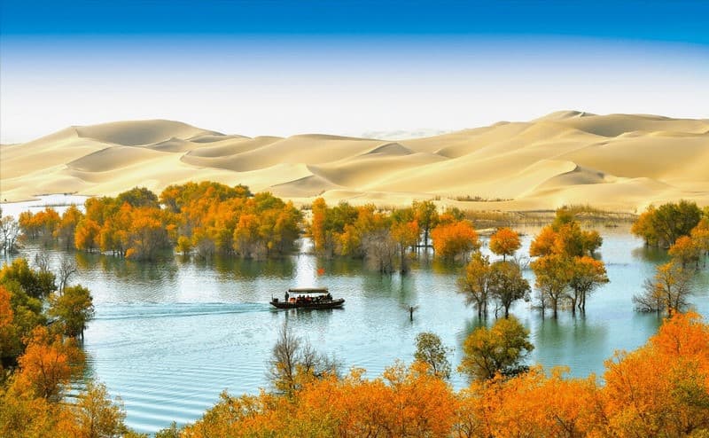Kashgar Tân Cương