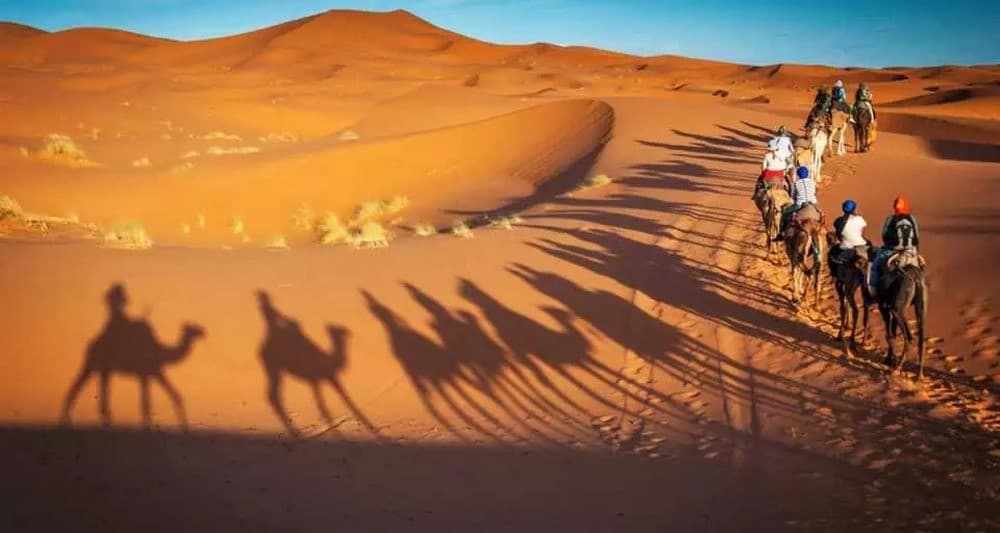 Cưỡi lạc đà vượt cồn cát Erg Chebbi