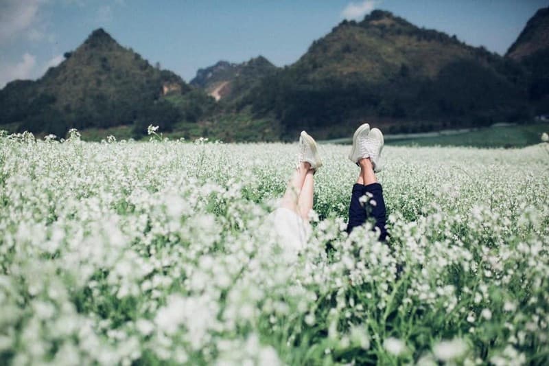 mùa hoa đà lạt tháng 12