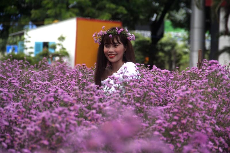 mùa hoa đà lạt tháng 12