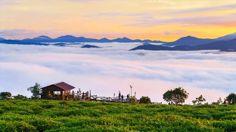 Đồi Chè Cầu Đất