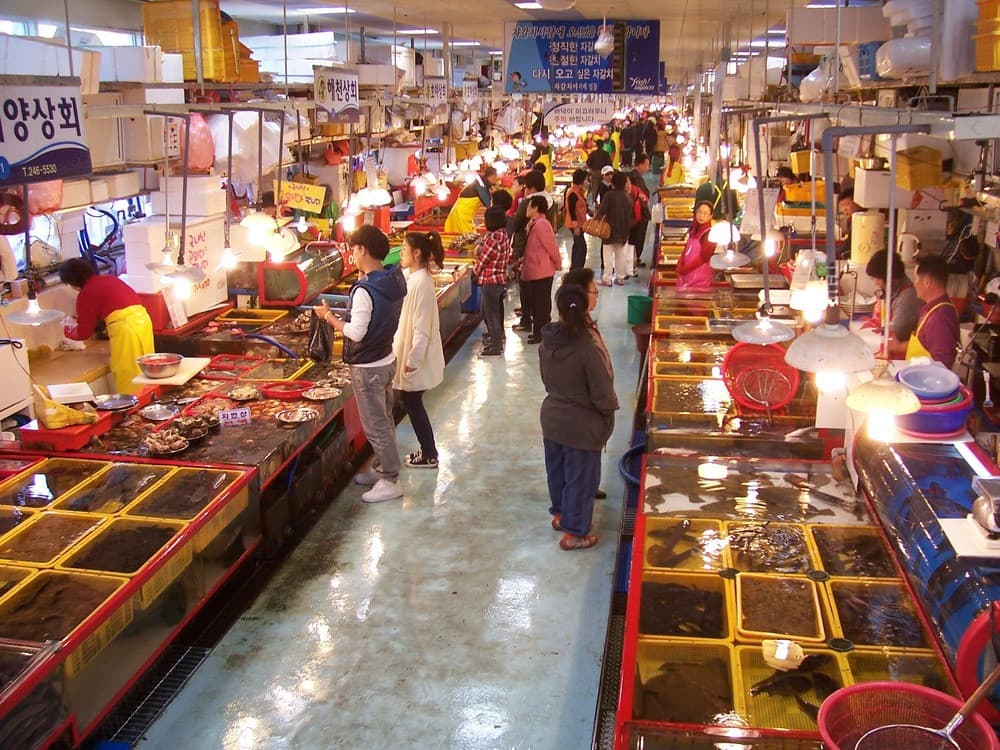 Chợ cá Jagalchi, chợ ẩm thực Hàn Quốc ở Busan