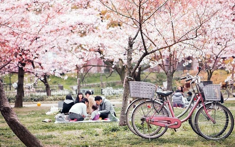du lịch Nhật Bản tháng 3