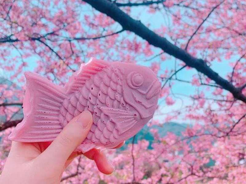 du lịch Nhật Bản tháng 3