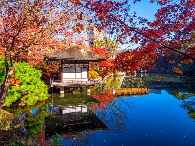 lâu đài osaka mùa thu