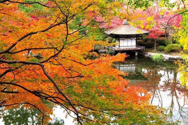 du lịch osaka mùa thu
