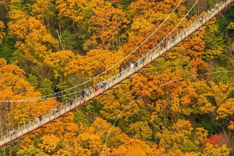 du lịch osaka mùa thu