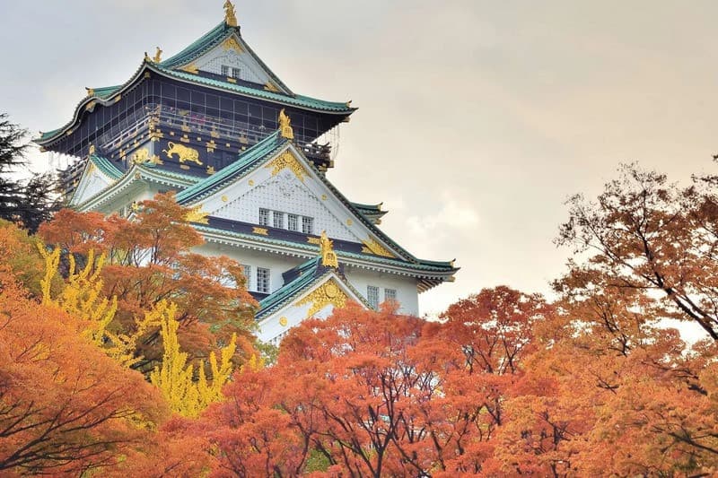 lâu đài osaka mùa thu