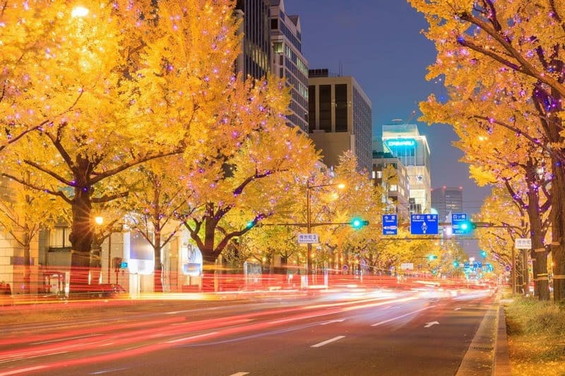 du lịch osaka mùa thu tham gia lễ hội
