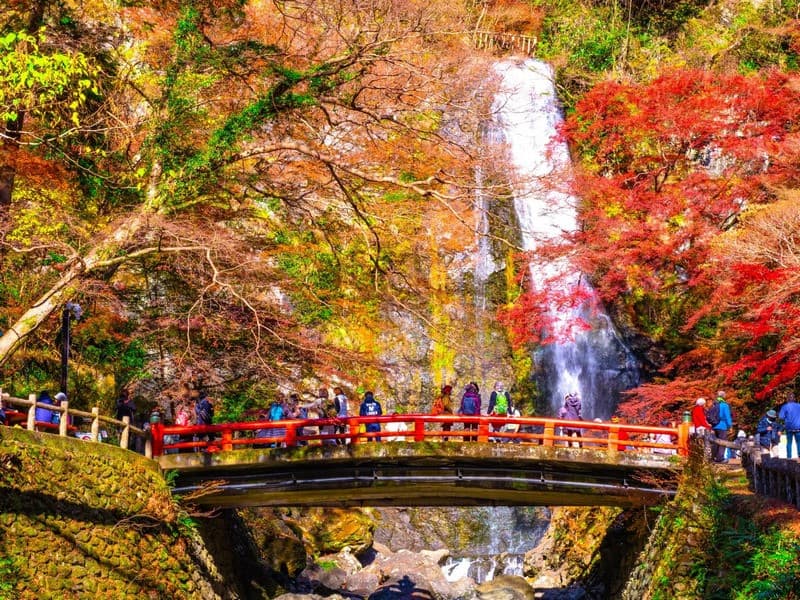 du lịch osaka mùa thu