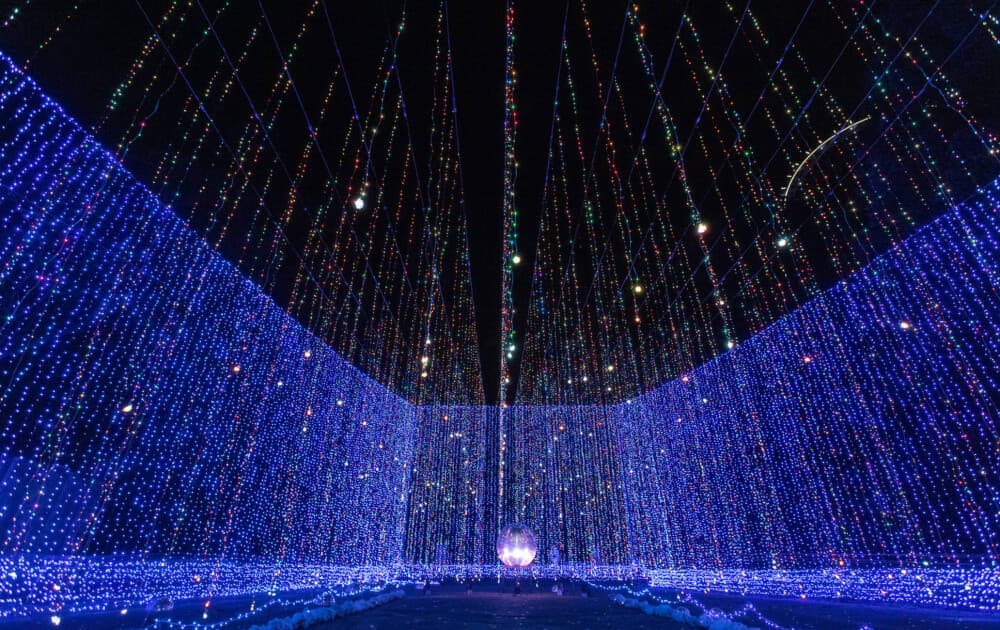Lễ hội ánh sáng Sendai
