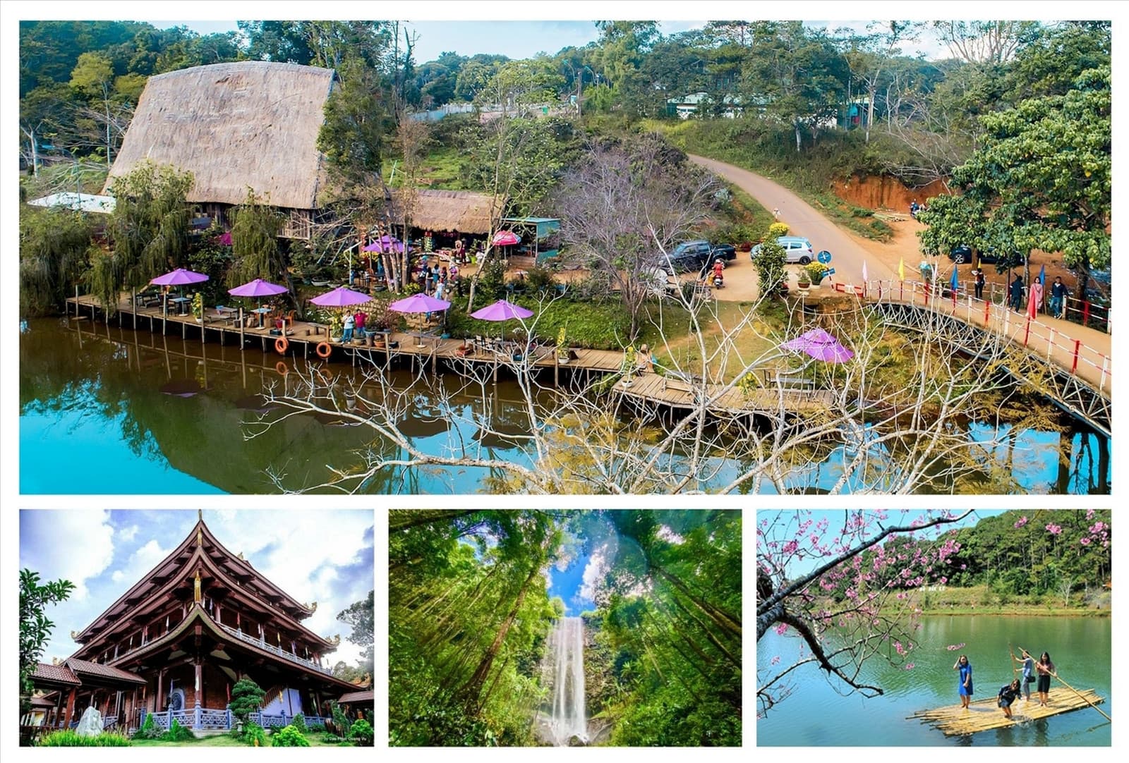 măng đen