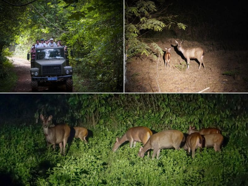 buổi tối tại nam cát tiên