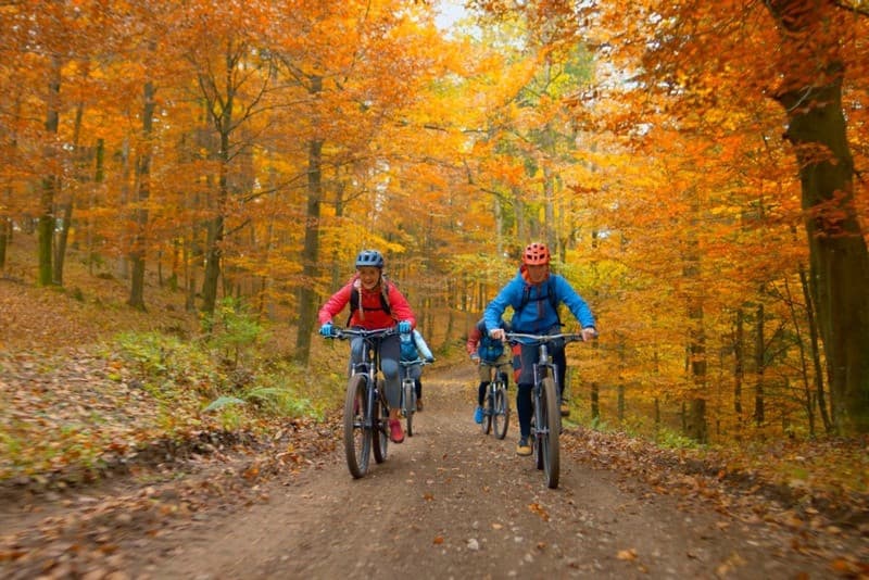 đạp xe xuyên rừng mùa thu châu âu 