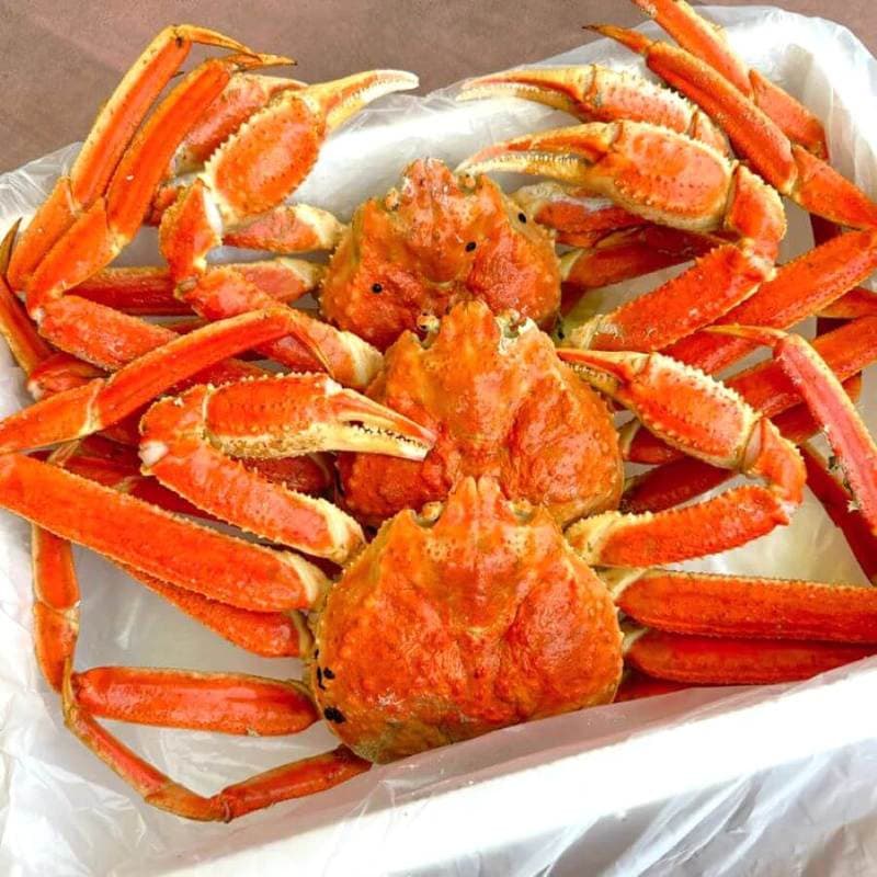  Cua tuyết Yeongdeok 