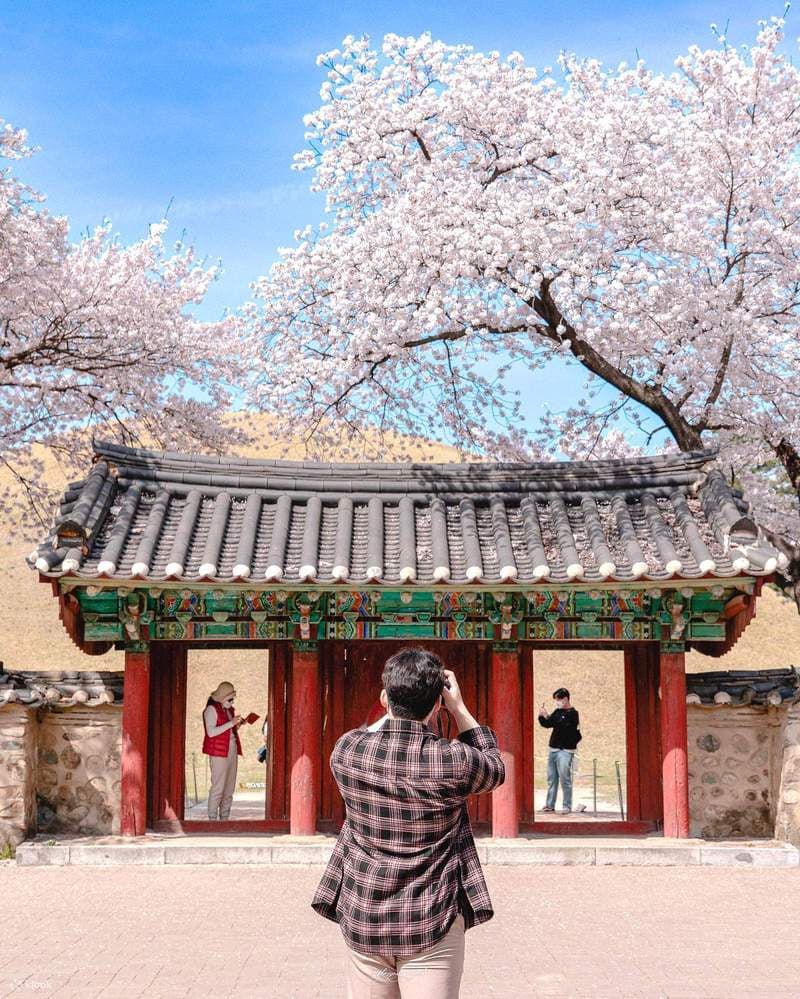 Thời tiết Hàn Quốc tháng 3