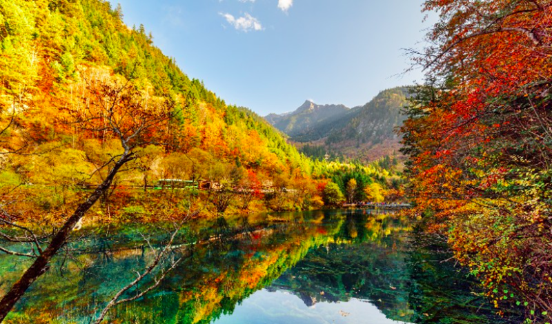 mùa thu cửu trại câu