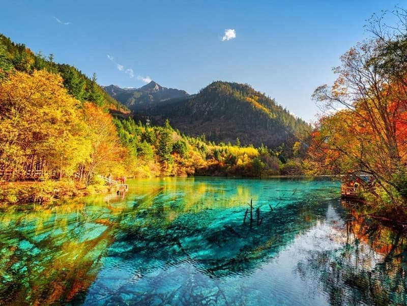 thời tiết cửu trại câu