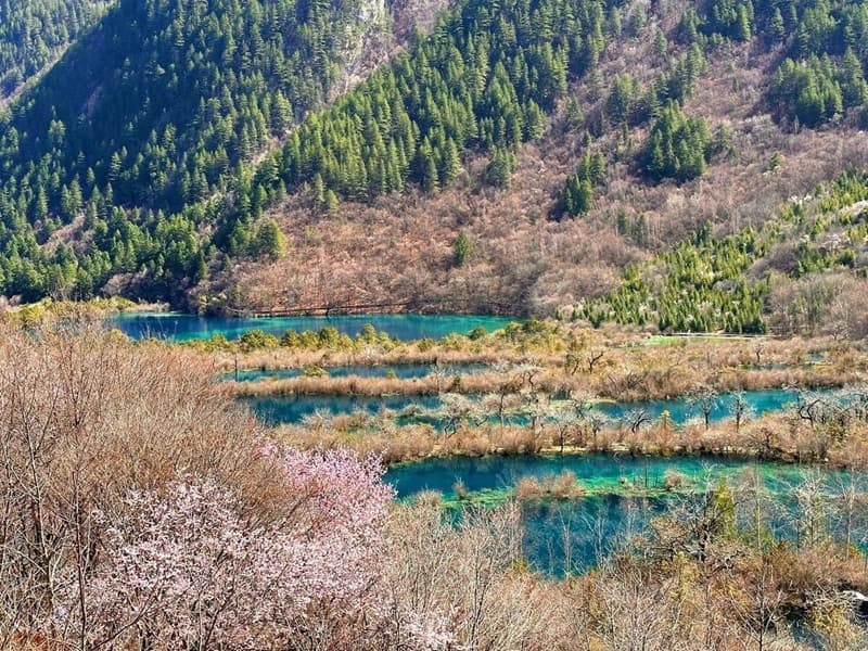 mùa xuân cửu trại câu