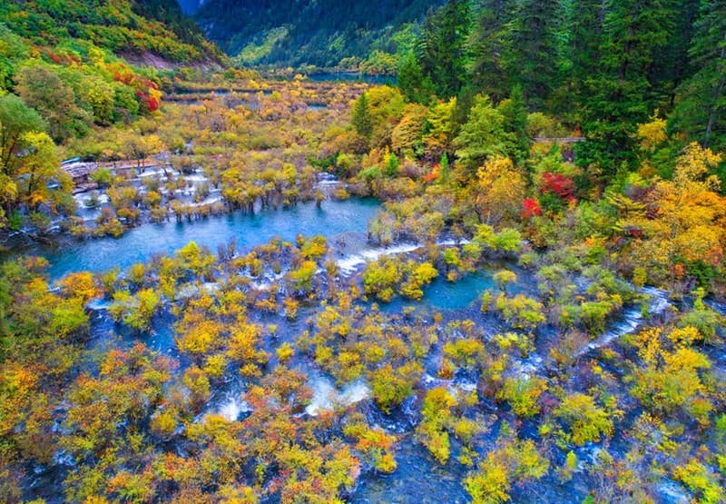 thời điểm lý tưởng