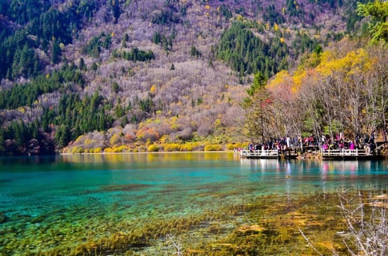 mùa xuân cửu trại câu