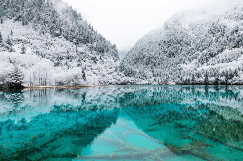 mùa đông cửu trại câu