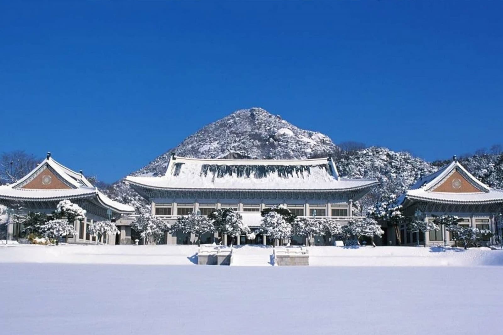 nhà xanh hàn quốc