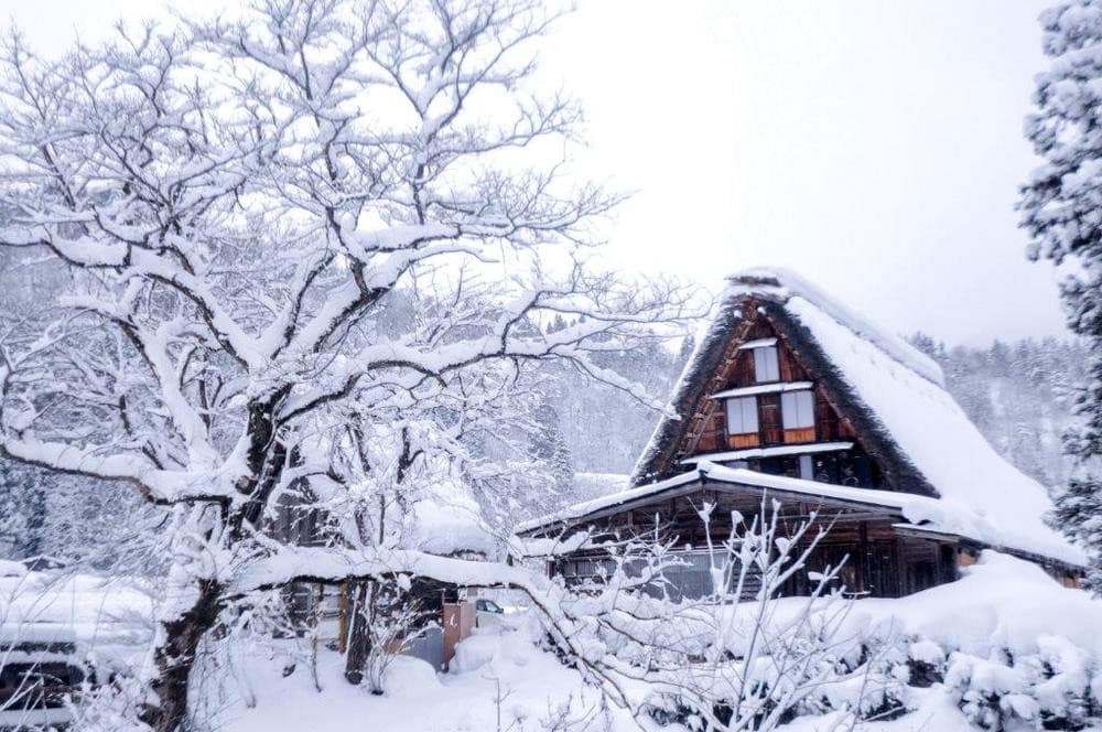 nhật bản mùa đông