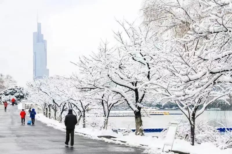 Mùa đông nam kinh có tuyết hồ huyền vũ