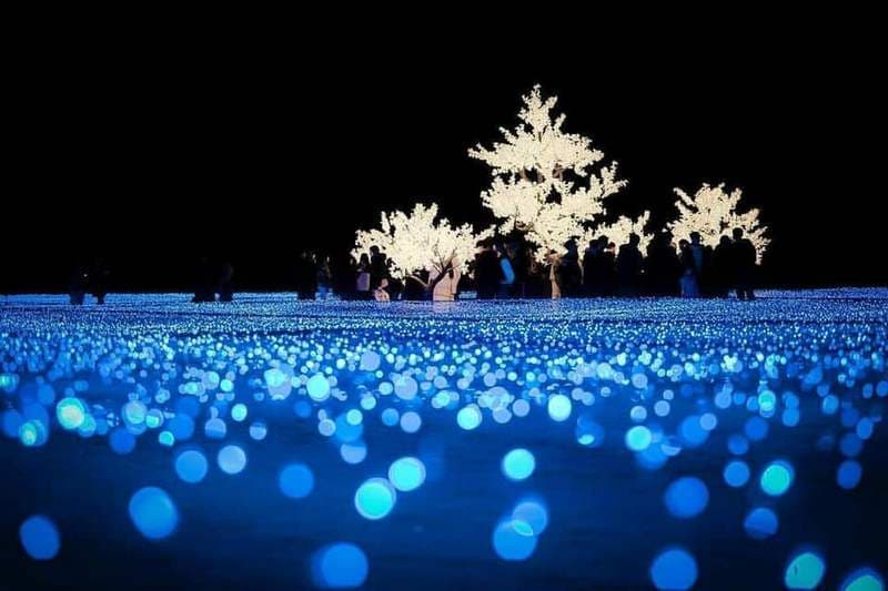 Busan có tuyết không - Lễ hội ánh sáng mùa đông Haeundae