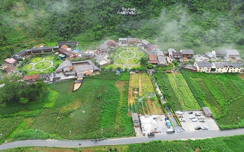 Cảnh quan thiên nhiên bao quanh mèo vạc