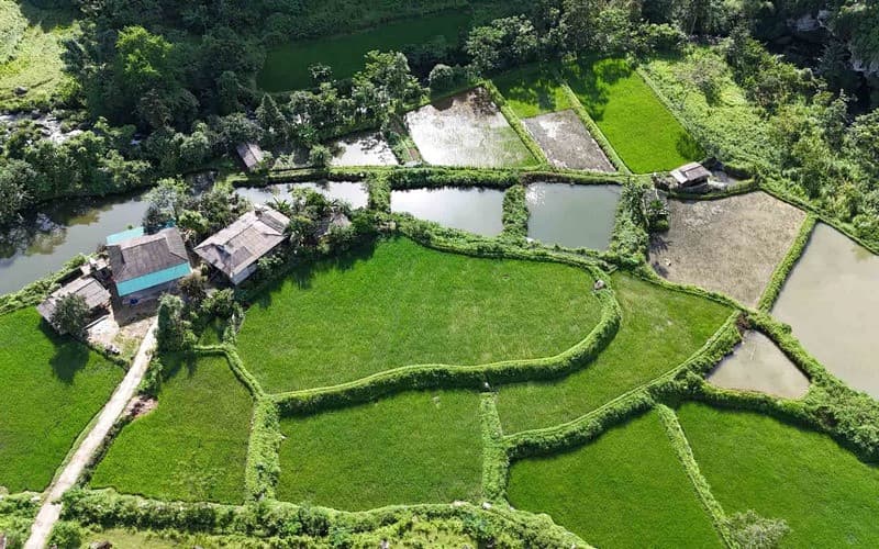 bản du già yên minh