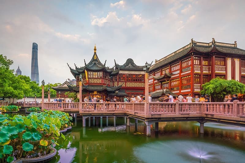 vì sao được yêu thích