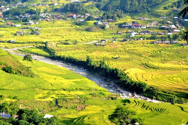 du lịch sa pa nên đi mấy ngày vào mùa lúa chín